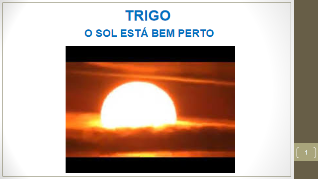 instituto, ayahuasca, erotica, verdade, maome